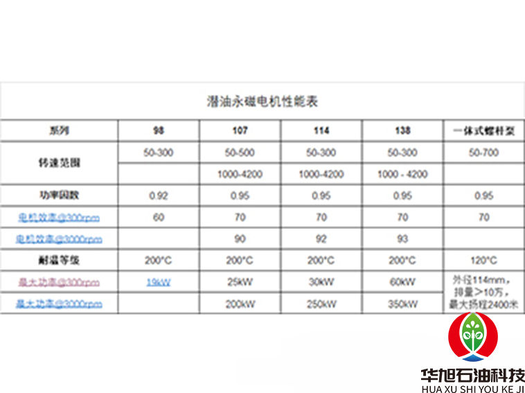 潛油永磁電機(jī)性能表